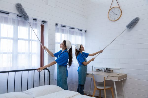 Two young professional housewives cleaning the house